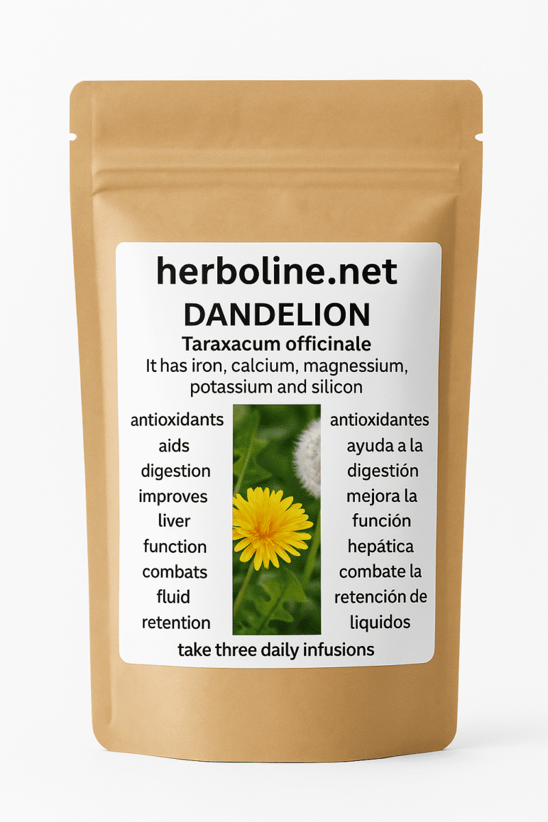 BOLSA DE DIENTE DE LEON REFORMADA