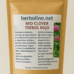 Red Clover (  (Trifolium pratense )