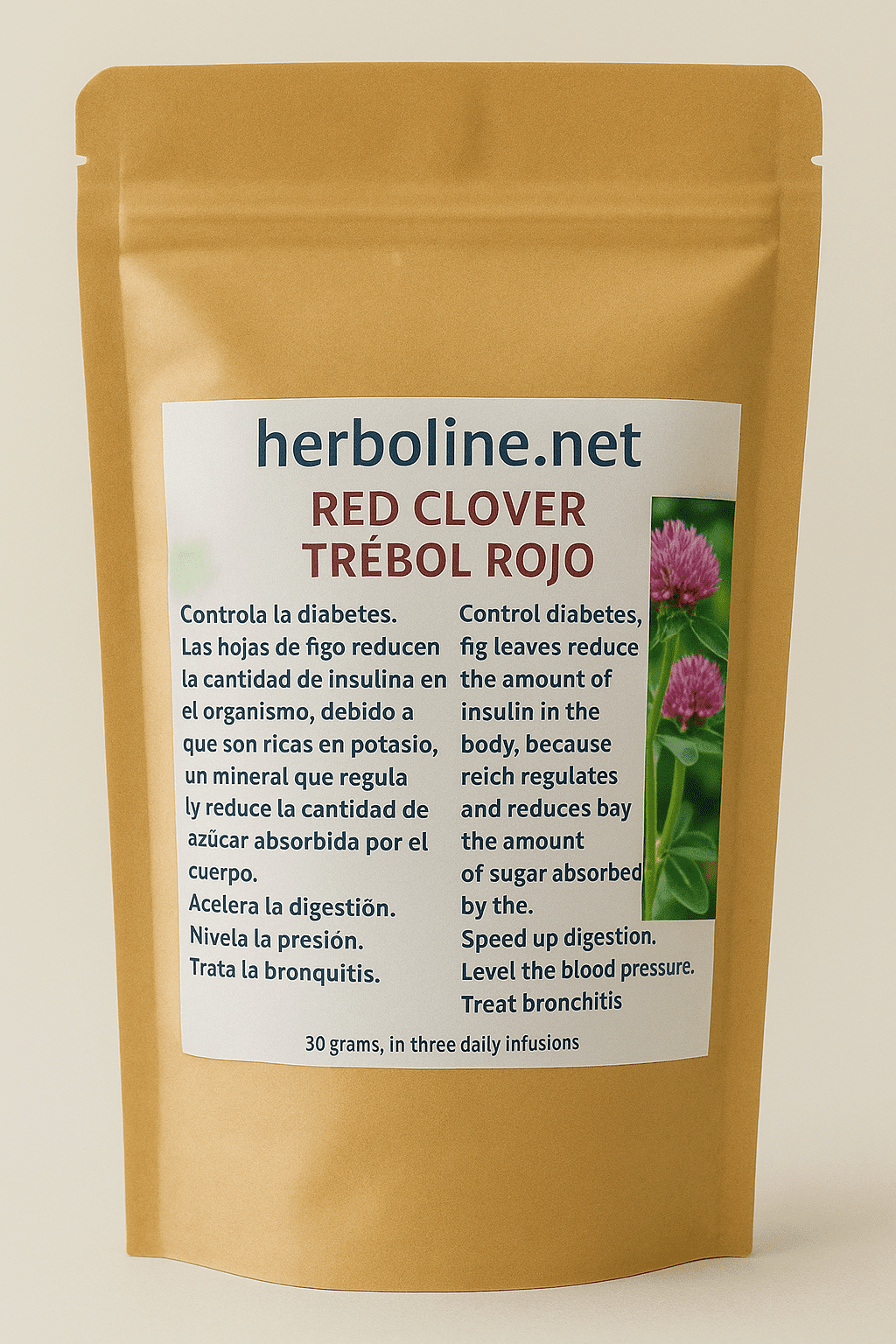 Red Clover ( (Trifolium pratense )