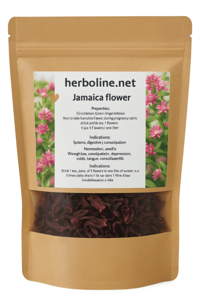 BOLSA DE FLORES DE JAMAICA NUEVA IMAGEN