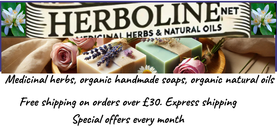 NUEVO BANER DE LA TIENDA